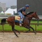 Shimmering Aspen, Crabcakes face off in Laurel allowance