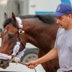 Five tips for picking a Preakness winner