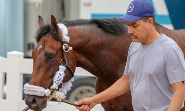 Preakness: Brisset enjoying every second with Quip