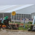 Laurel Park summer stakes schedule announced