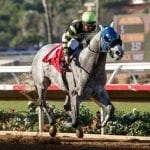 Our Braintrust rallies in Laurel Park juvenile test