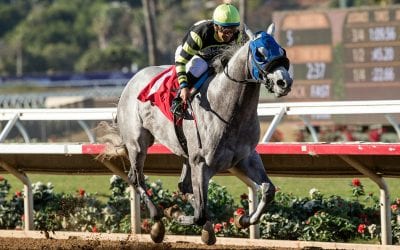 Greyvitos: From fire to surgery and back to racing