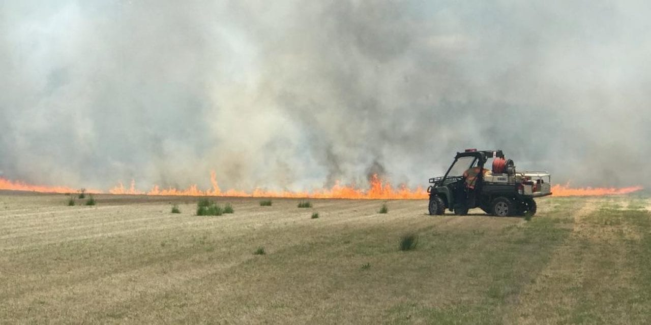 At Colonial Downs, the future is in flames