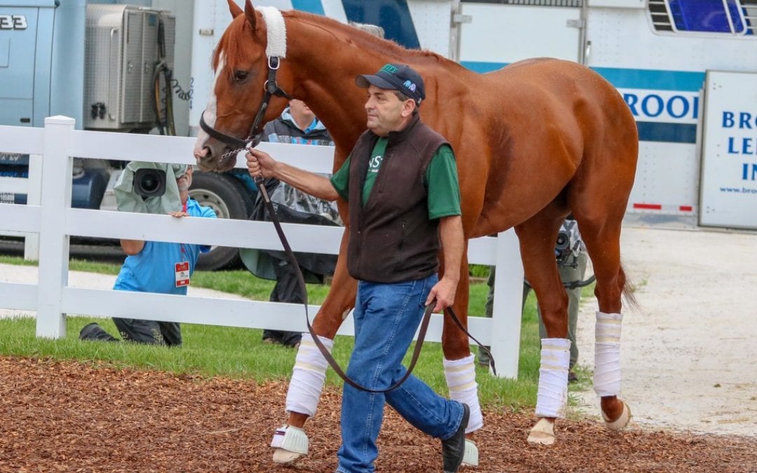 Preakness Chart 2018