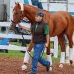 Kentucky Derby: Authentic fends off Tiz the Law