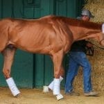 Lukas Preakness pair make afternoon arrival