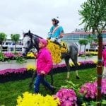 Fasig-Tipton: Tracking our hips to watch