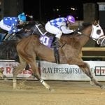 King of Egypt reigns at Laurel Park for sire American Pharoah