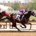 Blue-collar trainer Potts looking to change with the times