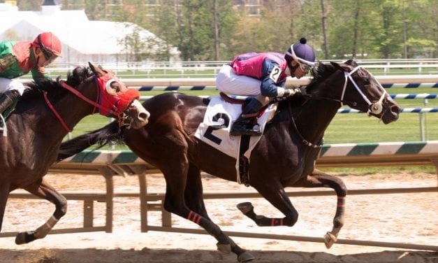 Maryland-bred Our Braintrust to tackle G3 Withers