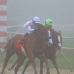 Jamie Ness looking forward to opening of Delaware