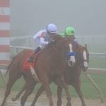 “Hot potato” Pimlico Plus bill moving towards passage