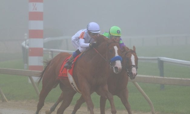 Preakness day at Pimlico in pictures