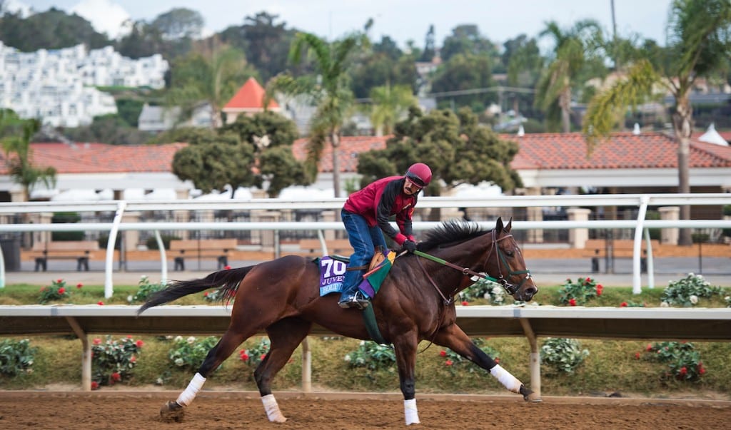 2008 Kentucky Derby Chart