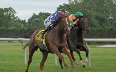 Delaware Park Racing Notebook 2018: Vol. 6