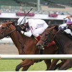 Delaware Park horses to watch: June 25, 2018