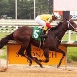 Delaware Park Racing Notebook 2018: Vol. 12