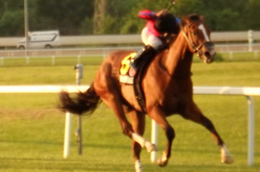 Hawkish flies to Penn Mile victory