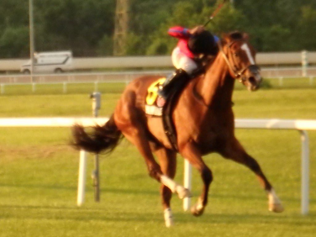 Hawkish won the Penn Mile. Photo by The Racing Biz.