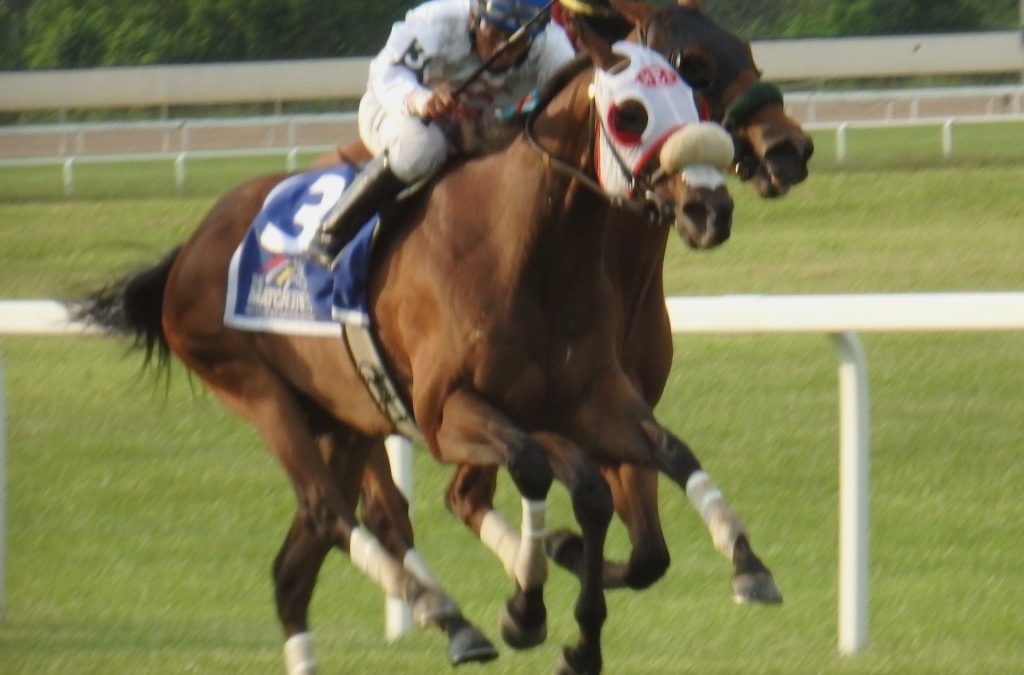 Oak Bluffs, Morticia take MATCH Series races