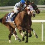 Hawkish flies to Penn Mile victory