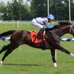 Gilpin Stakes: Altamura gives trainer Stephens first stakes win