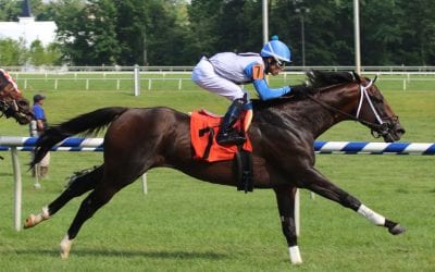 Edward Evans Stakes: Sticksstatelydude bred — sort of — by Bud