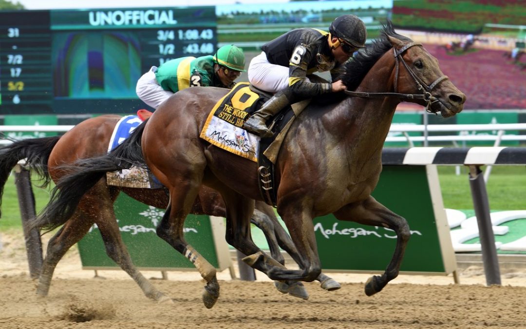 Still Having Fun breezes towards G3 General George