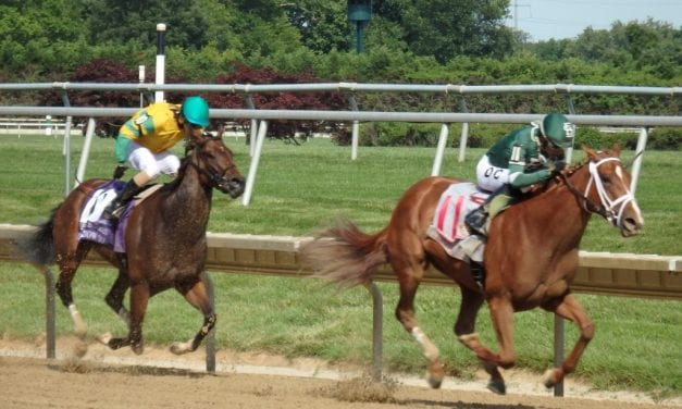 For trainer Anthony Margotta, “a long way into the woods, a long way out”