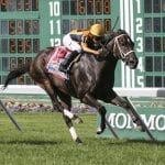 From the Spa: July 30 Midlantic-breds in Saratoga stakes