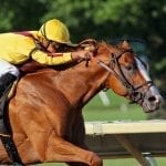 BackTracks: Bee Bee Bee spoils the party