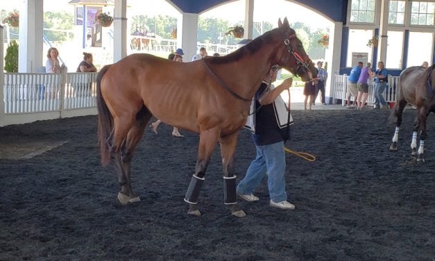 Laurel Park: After a year, Waterhaven returns a winner