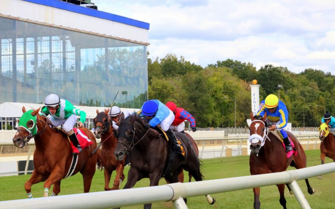 Stover: Good horsemanship key in avoiding breakdowns