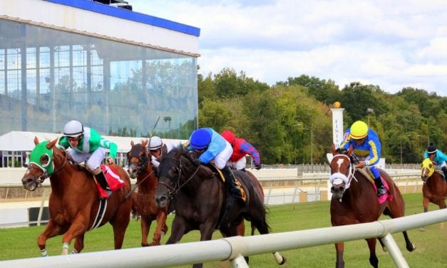 Maryland Jockey Club names new racing secretary; VP-Racing Hale named to new position