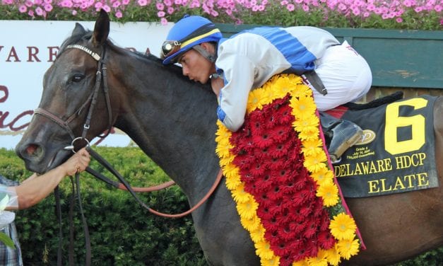 Delaware Handicap Day 2018 in pictures