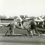 Delaware Park horses to watch: July 26, 2018