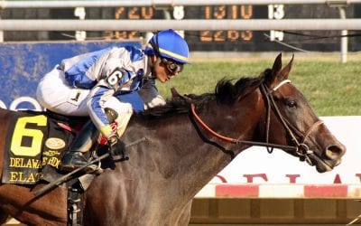Delaware Park Racing Notebook 2018: Vol. 11