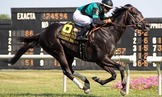 NJ-bred Golden Brown added to Haskell field