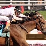 Delaware Park 2018 horses to watch: August 20