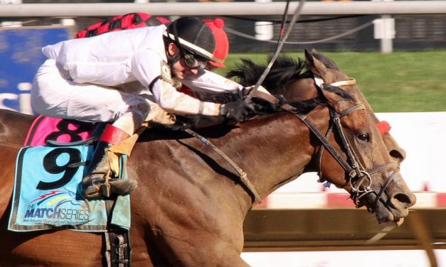 MATCH Series contributes to solid handle at Delaware Park