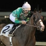 Laurel Park: Alternative trainer stats through July 19