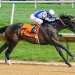 Former trainer Tullock thriving in on-air role