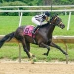 Saguaro Row gets nod as Fritchie favorite