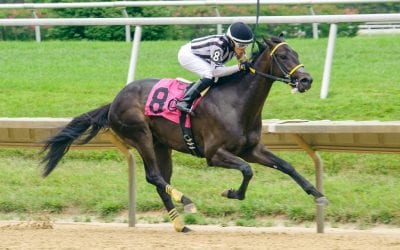 Delaware: Youth movement powers Pecoraro barn