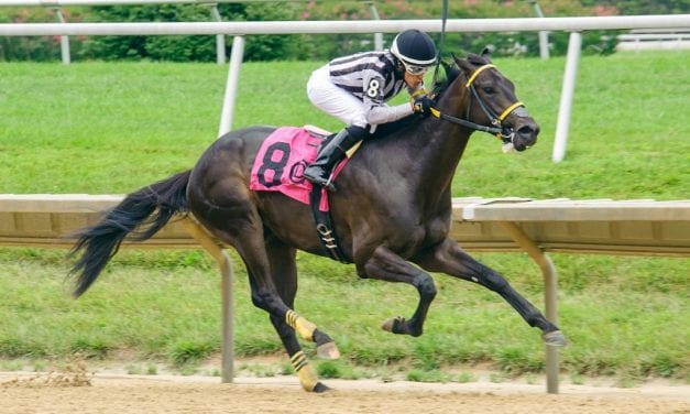 Delaware: Youth movement powers Pecoraro barn