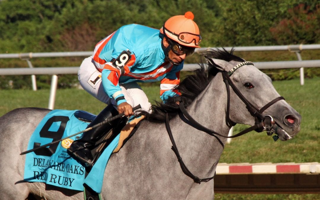 Delaware Park: 7 moments that mattered