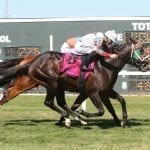 Delaware Park horses to watch: July 9, 2018