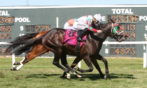 MATCH Series: Smiling Causeway, Vision Perfect score in turf sprints