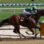 Delaware Park  2018 horses to watch: July 28