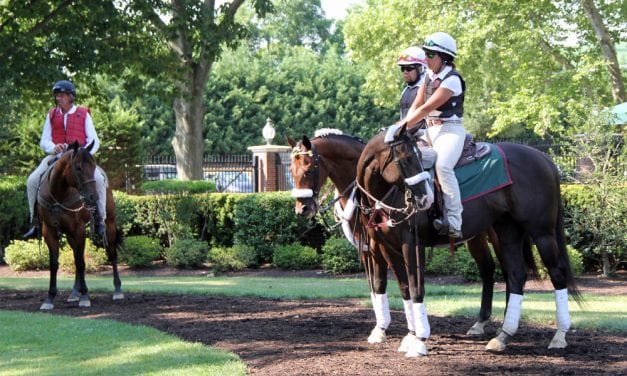 Delaware Park Handicappers’ Notebook 2019 Vol. 11